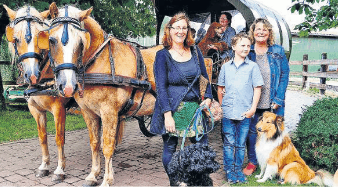 Begleitung auf vier Beinen 2