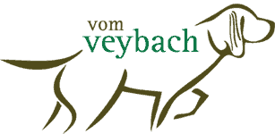 Fellnasen vom Veybach 2
