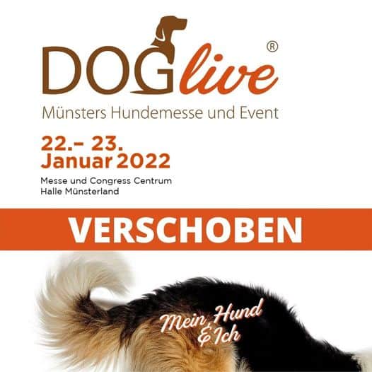 Featured image for “Doglive 2022”