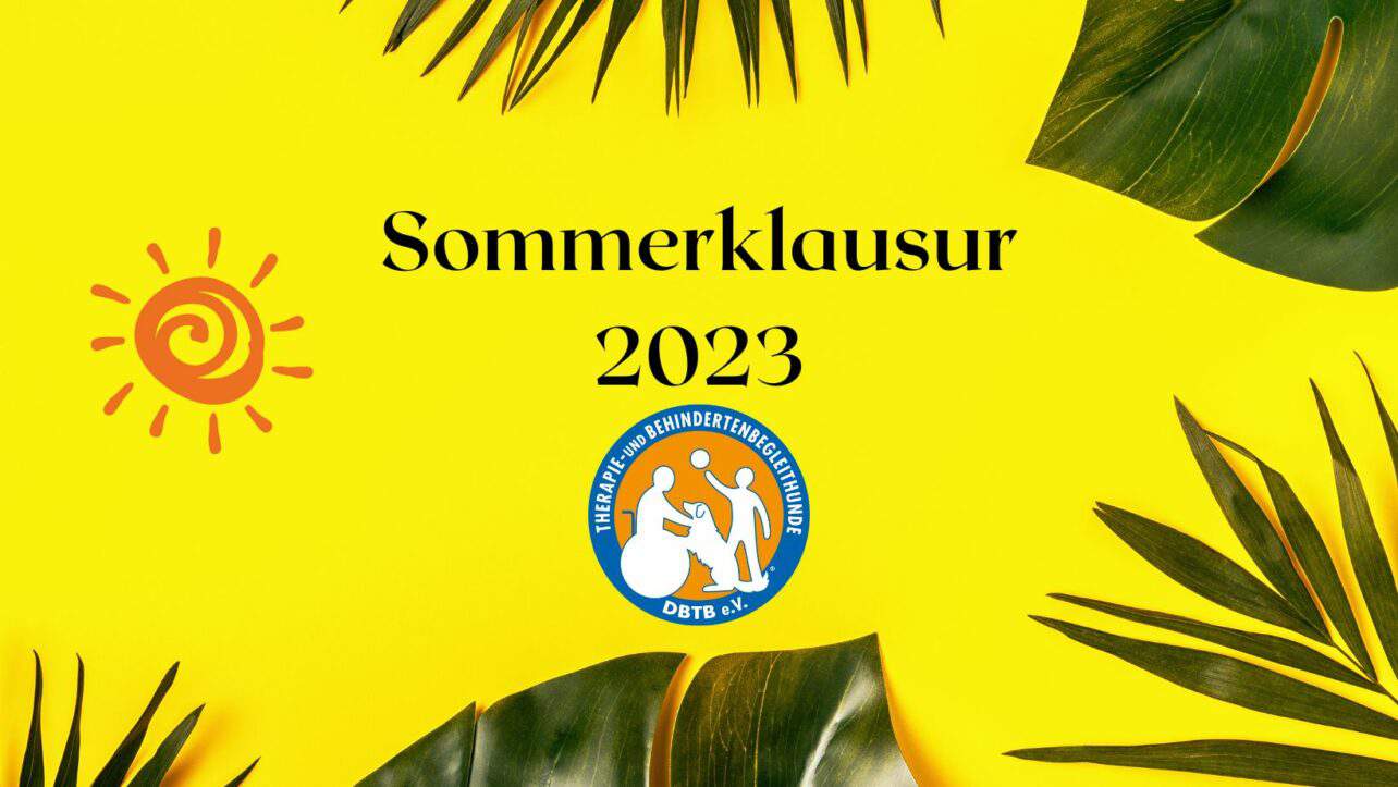 Sommerklausur 2023 2