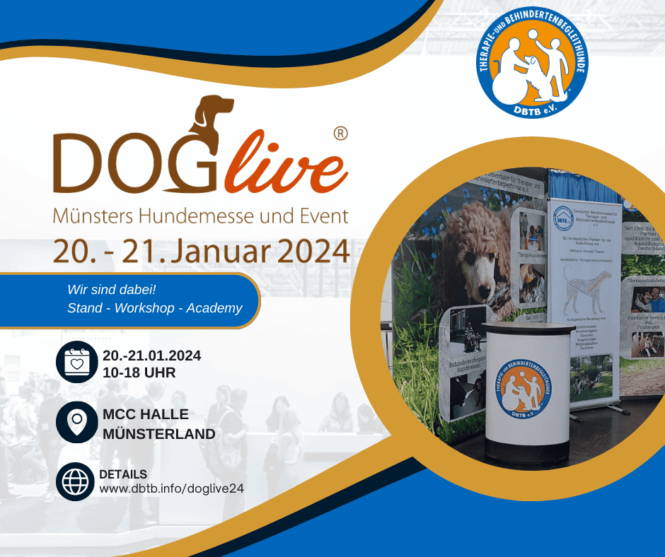 Featured image for “Doglive 2024”